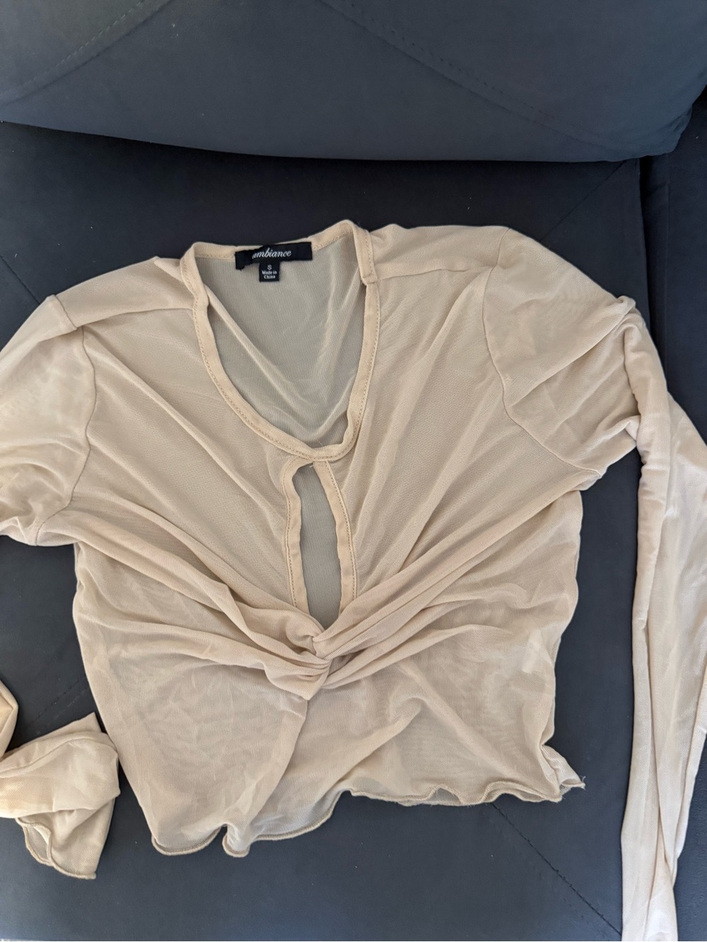 Ambiance Twist-Front Sheer Long Sleeve Top in Beige